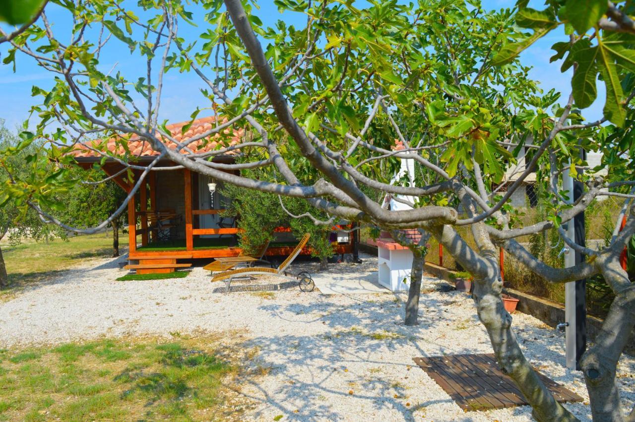 Studio Apartments Luka Biograd - Benkovac Exterior foto