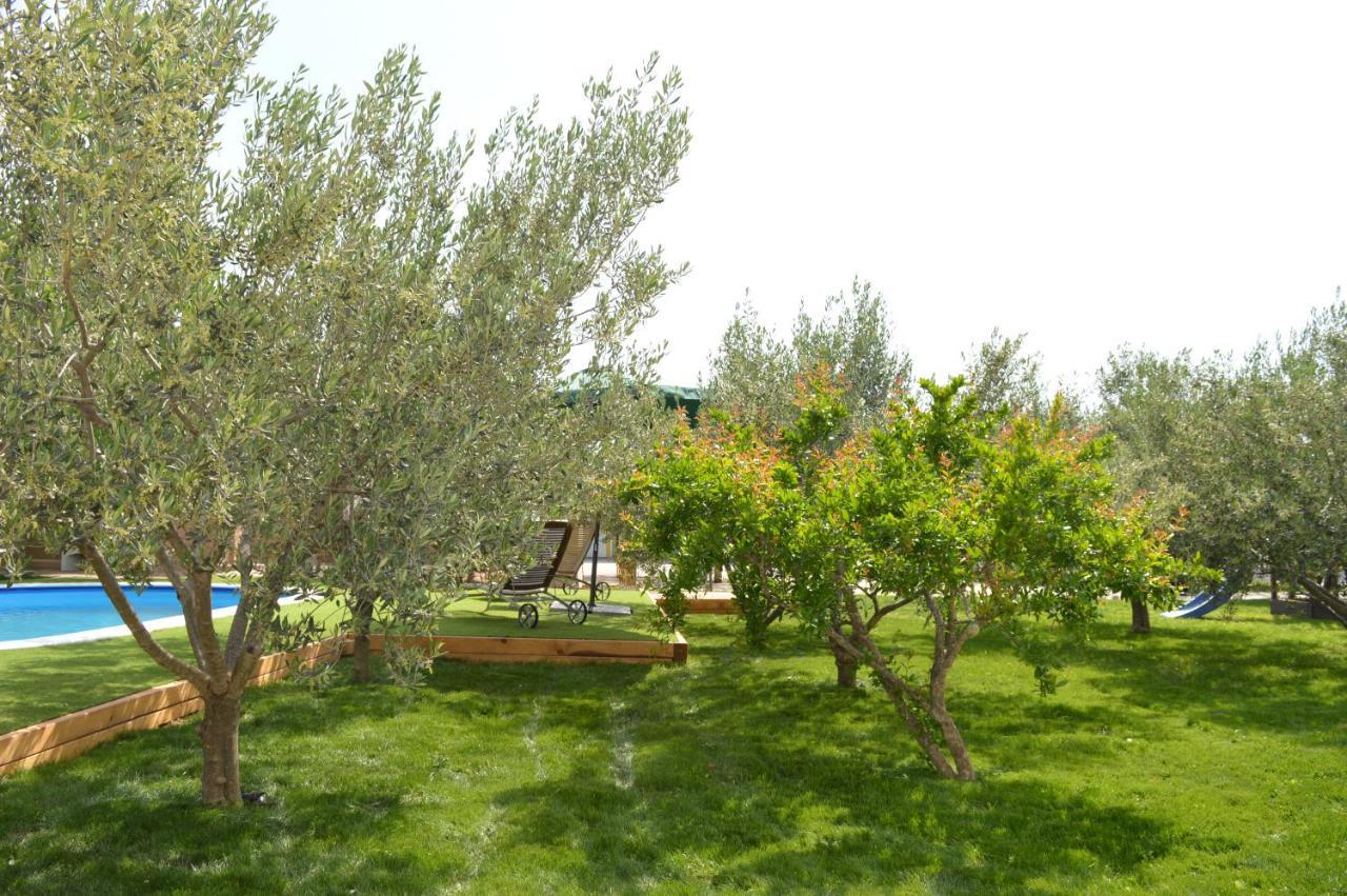 Studio Apartments Luka Biograd - Benkovac Exterior foto